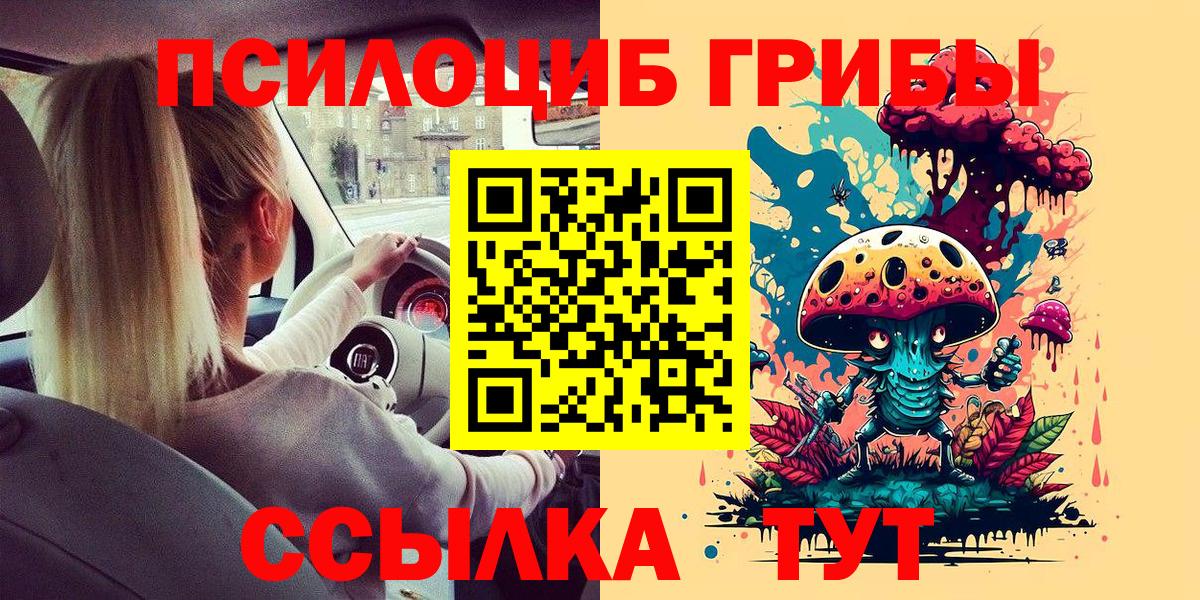 Галлюциногенные грибы Magic Shrooms  даркнет сайт  Курган  Вход с VPN 